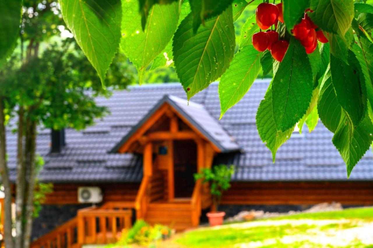 Holiday Home Wellspring Ястребарско Экстерьер фото